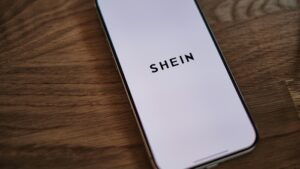 【画像】SHEINの女性用下着の着用レビューがエチチｗｗｗ