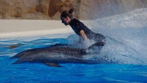 【画像】シャチトレーナーのドスケベお姉さんがエッチすぎるｗｗｗｗ