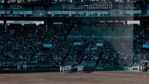 【画像】甲子園にエチエチガール降臨wwww